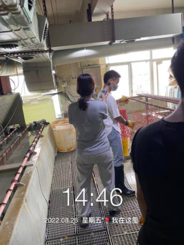 1669255506573570.png image.png