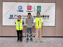 1767507602770441.png 2e046f07-827a-4c02-ab65-1132a0ad51e3.png