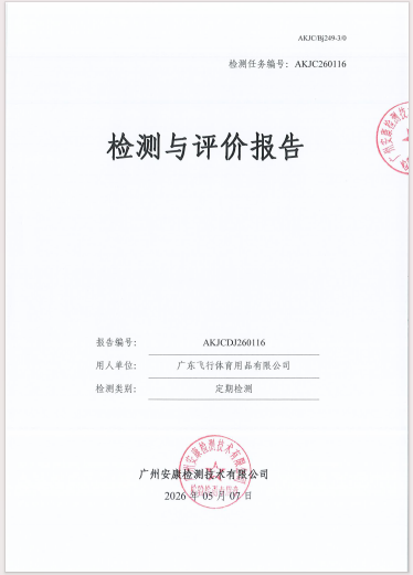 广东飞行体育用品有限公司